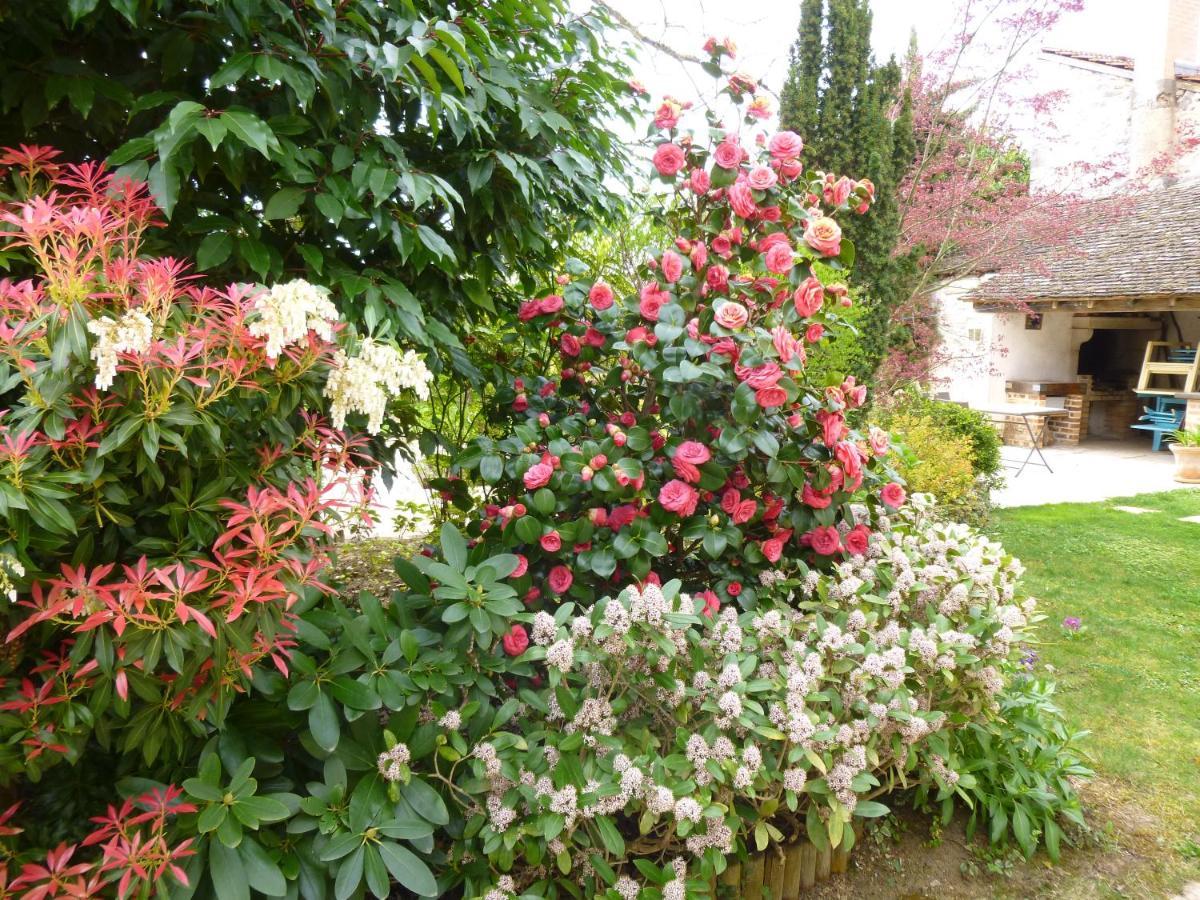 Le Reflet Des Vignes Bed & Breakfast Comblanchien Exterior photo